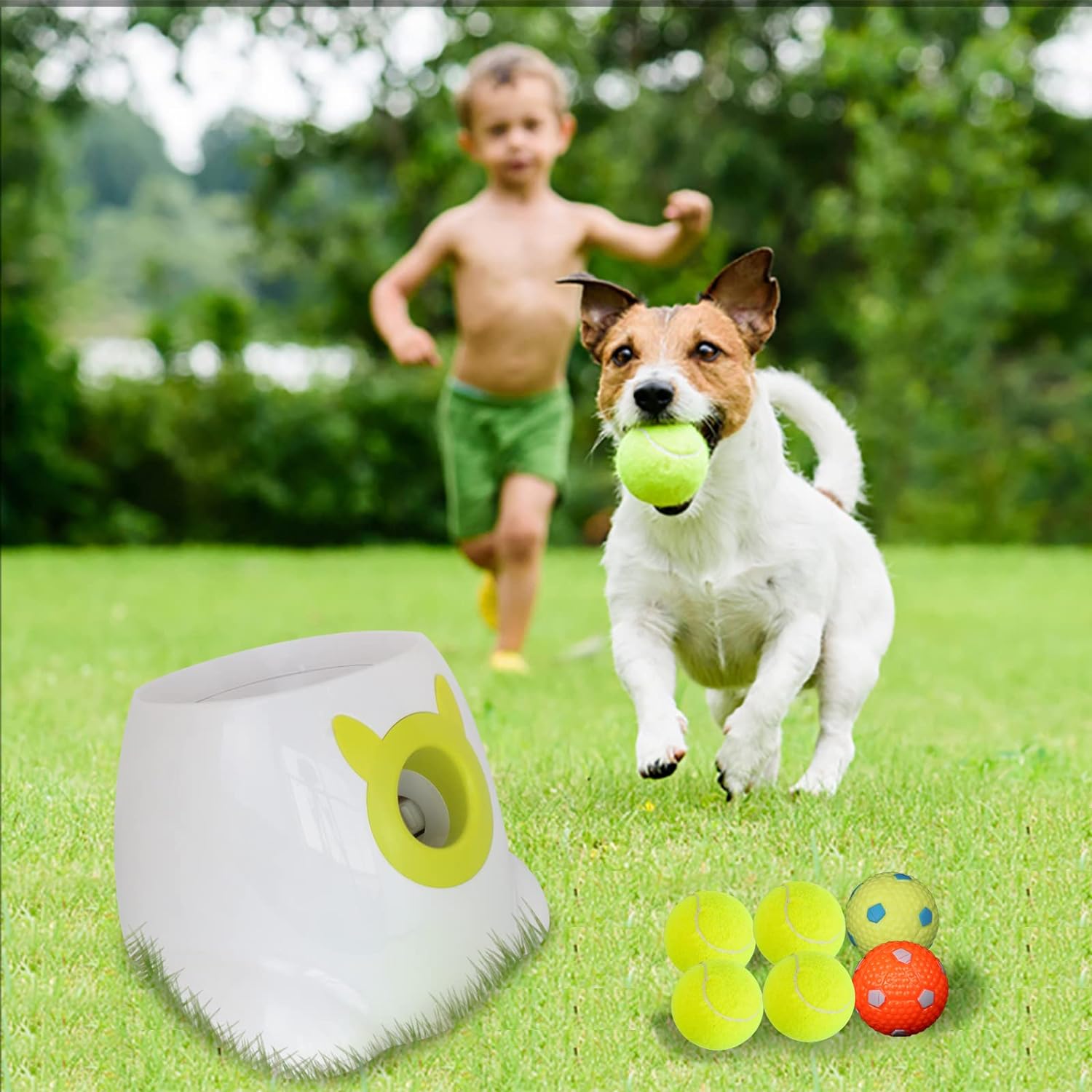 Dstoreishop Auto Ball Launcher - Interactive Fun for Pets and Owners